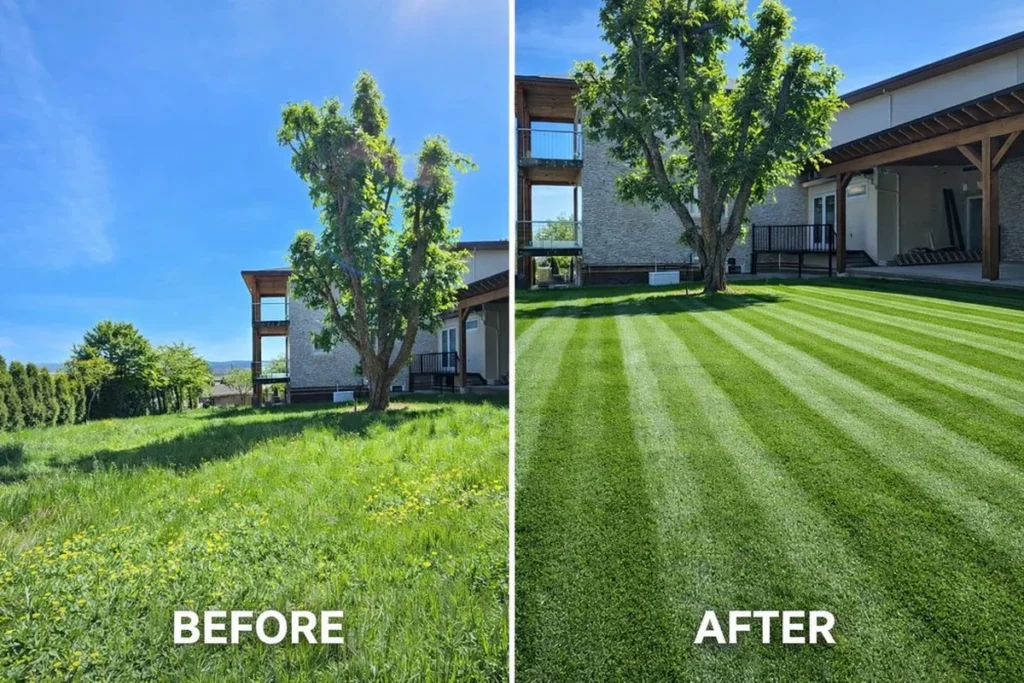 Before and after lawn mowing by Fettle Mowing